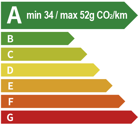 完美真人 EV Energy Level Label