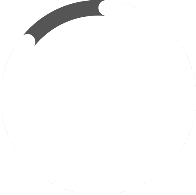87% protezione occupanti adulti Euro NCAP 完美真人